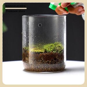 [COD] Bottles Creativity Dew Collection Vase Micro Landscape Succulent Moss Landscape Terrarium Home Decor