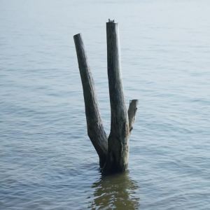 Eva NYC Therapy Session Deep Conditioning Hair Mask with Jojoba Oil + Argan Oil - Hydrate Soften - Repair Hair Strength + Restore Damage - Sulfate Free - Warm Vanilla Scent - 13.5 fl oz