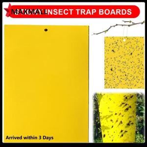 【New Arrival】 แผ่นดักแมลงสองด้านสำหรับสวน 200/500ชิ้น ดักแมลงหวี่ขาวและแมลงเจาะใบ ใช้งานกลางแจ้งในสวนและสนามหญ้า