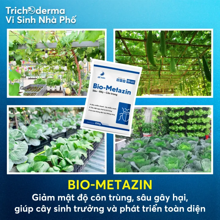 D%E1%BA%BF%20M%C3%A8n%20BIO-METAZIN%20250g%20%E2%80%93%20Ch%E1%BA%BF%20ph%E1%BA%A9m%20vi%20sinh%20ph%C3%B2ng%20ng%E1%BB%ABa%20nh%E1%BB%87n%20%C4%91%E1%BB%8F,%20b%E1%BB%8D%20tr%C4%A9,%20r%E1%BB%87p%20s%C3%A1p%20-%20Image%203