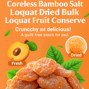 Natural Bamboo Salt Loquat Dried Fruit Handmade Sweet Sour Seedless Snack 天然竹盐枇杷干果脯