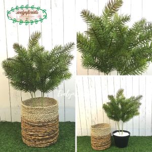 Tanaman Hias Daun Pinus Cemara Tangkai X4 Latex Artificial Cover Pot Seagrass Variasi Warna Pohon Pajangan Dekorasi