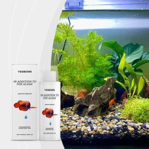 YEGBONG น้ำยาทำความสะอาดตู้ปลาสำหรับตู้ปลาน้ำยาล้างสาหร่ายน้ำยากำจัดมอสตู้ปลากำจัดถังสาหร่ายทะเลตู้ปลาอุปกรณ์บำบัดน้ำมีประสิทธิภาพสูงทำความสะอาดน้ำตู้ปลา