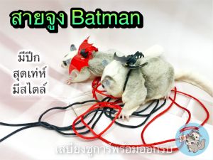 V ( สายจูงแบทแมน ) BATMAN สายจูงสัตว์เล็ก สัตว์เลี้ยง ชูการ์ กระรอก ดอร์เมาส์ แฮมสเตอร์ สายจูง สายรัดอก เชือกจูง ที่จูง