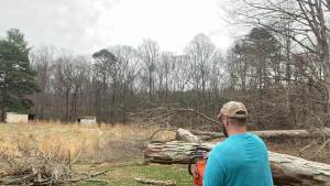 16 Inch Chainsaw Chain 3/8" LP Pitch .050" Gauge 56 Drive Links Fits Craftsman Poulan Ryobi Echo Greenworks and More- S56 (1 Chain)