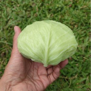 Replika sayuran Paket lengkap Vegetarian 1 set 7 pcs /  dummy sayuran / harga satuan /  Mainan anak / Edukasi anak / Dekorasi meja makan / Display Restaurant Hotel Dan lain lain