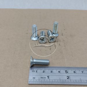 10 PCS BAUT JF M8 X 25 FLAT HEAD SEKRUP M8X25 PANJANG 25CM 25 CM BAUD 8 8X25 8 X 25 MM 25MM OBENG PLUS SKRUP PUTIH GALVANIZ GALVANIS GALPANIS PITCH DRAT 1.25