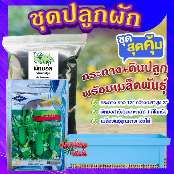 ชุดปลูกผักสวนครัว แตงกวา พร้อมดินและกระถาง