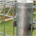 T Rex DIY Fencing V Clip Bracket - Stainless Steel 304 | Zinc Plated / Fence U Clip Bracket. 