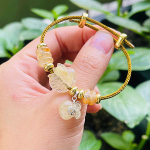 vòng tay nữ hồ ly thạch anh tóc vàng tự nhiên mix túi tiền và đồng điếu thạch anh tóc vàng vip bọc bạc vòng tay đá phong thuỷ hợp mệnh thổ mệnh kim trang sức thiết kế đủ hoá đơn thẻ bảo hành