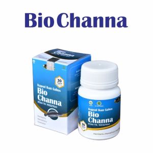 Kapsul Ikan Gabus  Obat Luka Pasca Operasi Albumin Sari Kutuk 2 Minggu Langsung Kering