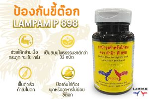 SUPLEMENT MULTIVITAMIN Burung/AYAM MEGA P 898 LAMPAM Import