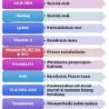 Vitamin A Sirup Dha Buat Kecerdasan Otak Pintar Anak. 