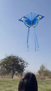 Aoduoyaya Cartoon Kite with 50 Meter Handle Line Kuromi Capybara Kite for Children Adult Flying Toys