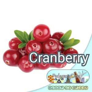 Cranberry  Benih Bibit Import Super Dataran Rendah / Tinggi  Blueberry Blackberry Raspberry Cranberry Blackcurrant Redberry  Benih Bibit Biji Buah Berry Berrie Tanaman Pohon  PedagangDesa