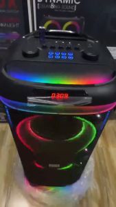 Brodu BTS-2100 stereo system sound Dual 10 inch Woofer Outdoor DJ Party Speaker with 2 wireless MIC