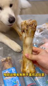 Beef Bone Pet Teething Snack Dog Treats Chewing 宠物 狗 犬 磨牙零食 牛棒骨