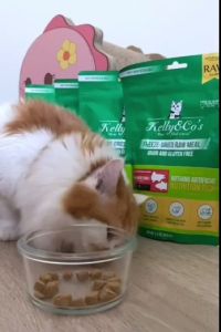 เคลลี่แอนด์โค อาหารบาร์ฟฟรีซดราย สูตรปลาแซลมอนและปลาทูน่าผสมผักและผลไม้รวม สำหรับแมว อุปกรณ์ 3 อู่ 3 วัน