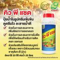 ขนาด 1 ลิตร ปุ๋ยน้ำ คิว พี แซด สูตร 4-16-20+6Zn คิวยีลด์ ช่วยในการสะสมอาหาร. 