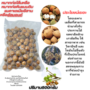 ก่อหินหรือก่อโล้น 500กรัมและ1กิโลกรัม แบบดิบปลูกได้ทานได้ เกาลัดอีสาน ผลไม้โบราณหายากใกล้สูญพันธุ์