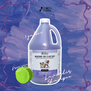 FASHION - Prolific Tails 1 Gallon (3.78L) Madre De Cacao Shampoo (Lavender) with free MDC single soap