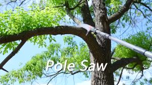 Telescopic high pruning branch Fruit Picker High Pruning Branch Shear Saw Tree Cutter picker gunting