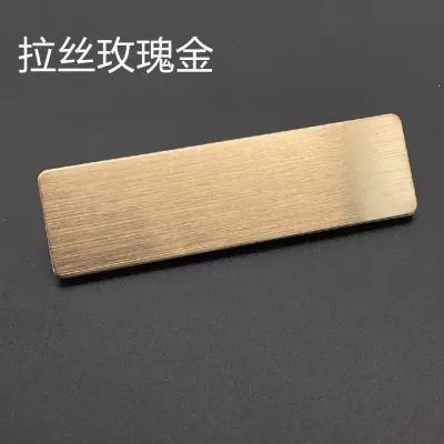Magnetic Name Tag Titanium Steel Badge Card ID School Tag Name Master Tag MAGNET & PIN Public Attendant Observer Royal Team