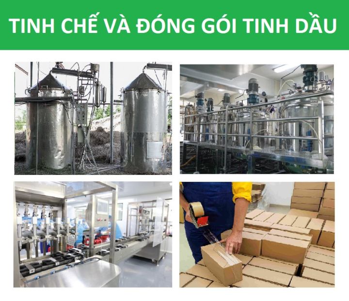 Tinh%20d%E1%BA%A7u%20C%C3%A0%20Ph%C3%AA%20Vi%E1%BB%87t%20(coffee,%20cafe)%20Th%E1%BA%A3o%20M%E1%BB%99c%20nguy%C3%AAn%20ch%E1%BA%A5t%20t%E1%BB%AB%20thi%C3%AAn%20nhi%C3%AAn,%20th%C6%A1m%20ph%C3%B2ng,%20x%C3%B4ng%20ph%C3%B2ng,%20th%C6%B0%20gi%E1%BA%A3n,%20%C4%91%E1%BA%A1t%20chu%E1%BA%A9n%20ch%E1%BA%A5t%20l%C6%B0%E1%BB%A3ng%20ki%E1%BB%83m%20%C4%91%E1%BB%8Bnh%20-%20Image%207