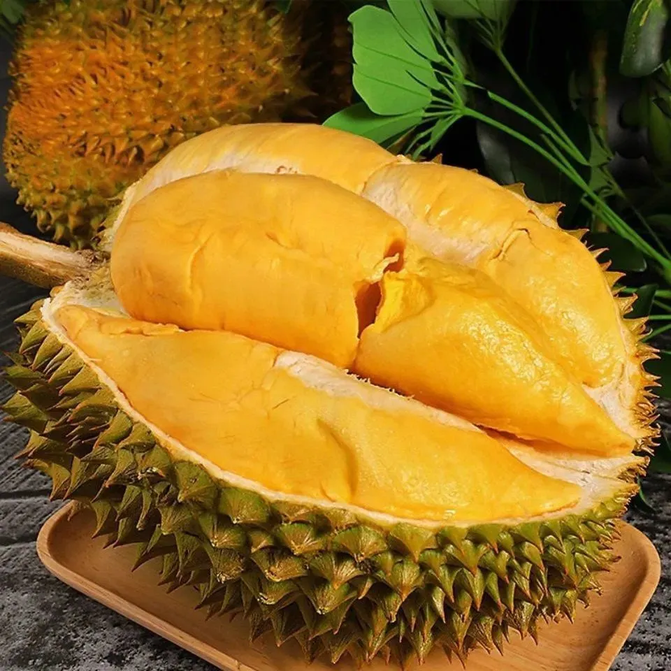 Durian Seeds Musang King golden pillow fruit potted planted in the