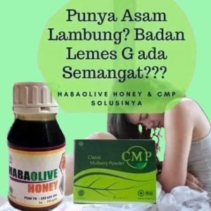 BBM-PAKET Termurah untuk TERAPI SAKIT MAAG (CMP rasa Mint & MADU HABAOLIVE)