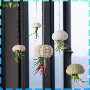 【New Arrival】 Coastal Decor Shell Conch Art for Living Room Marine Theme Accessories Beach House Decor