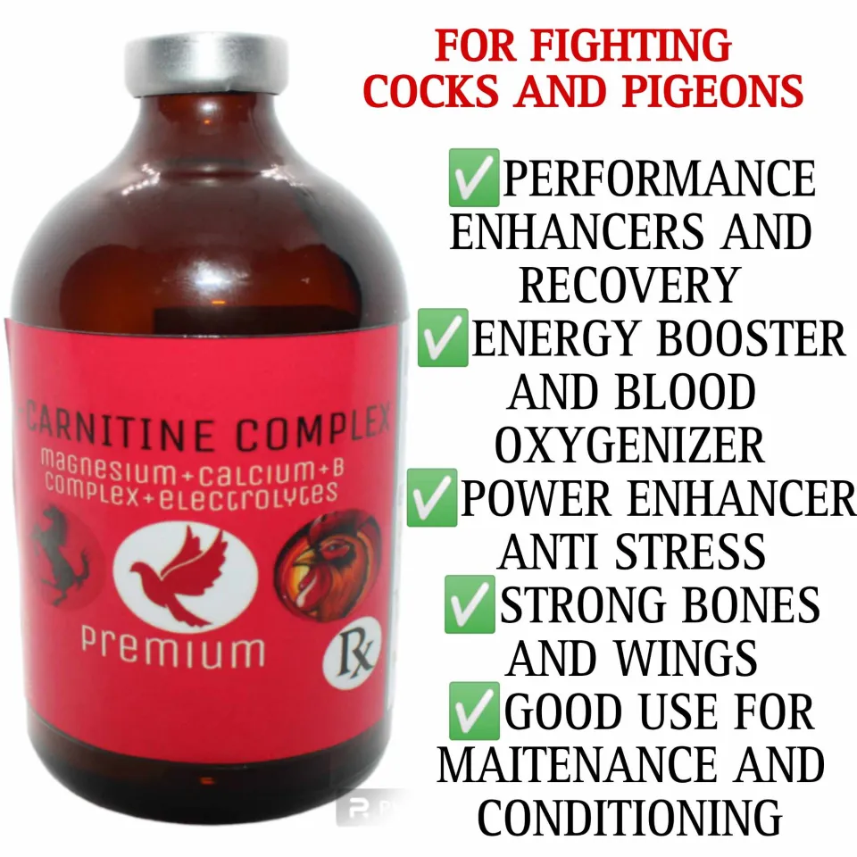 l carnitine and antidepressants L carnitine with b complex gamefowl and pigeons L-Carnitine B-Complex Liquid  Supplement Red Orange Poultry And Pet Supplement Thailand-Made  All-Life-Stage Animal Supplement - Lazada