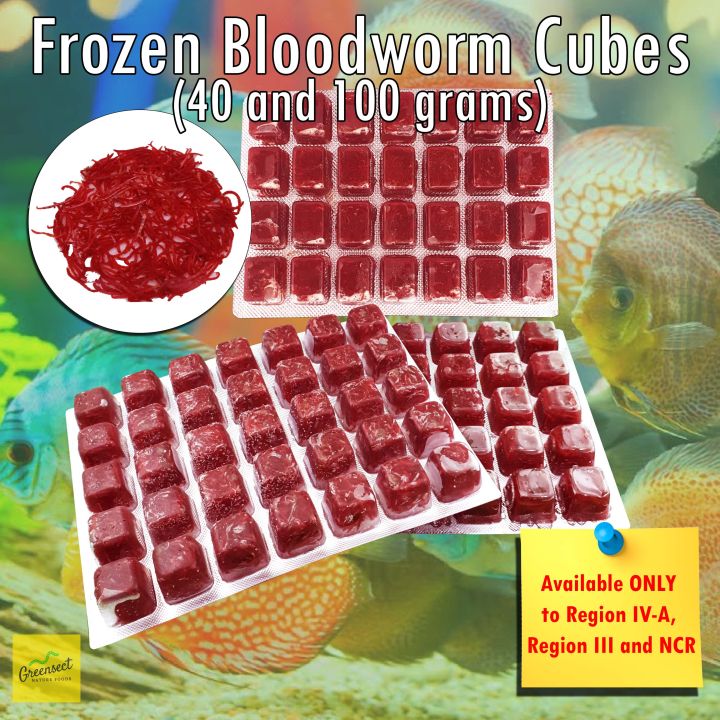 FROZEN BLOODWORM WHOLESALE betta tetra angelfish mollies discus reptile turtle fish food Lazada PH