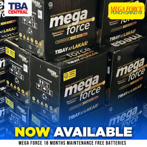 MEGA FORCE PUNCH GRID MAINTENANCE FREE BATTERY 18 MONTHS WARRANTY
