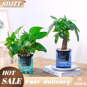 SDJZT Chậu hoa Trong Suốt Tự tưới cây chậu hoa trang trí sân vườn nhà