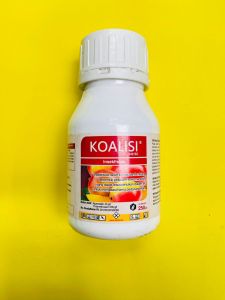 Insektisida KOALISI 240 SC kemasan 250 ml GRAHA AGRITECH PRIMA MANTAB