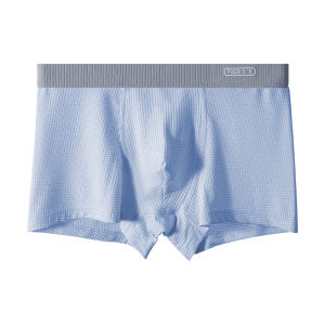 Ice Silk Panties And Shorts For Boys Sweat-Absorbent Four-Corner Thin Panties Breathable Traceless Pants