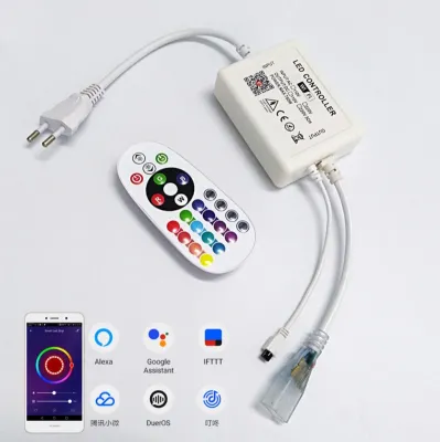 5050 LED Strip Light 220V RGB Remote Control Controller Adapter Plug