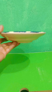 Combo 5 đĩa phết 21 cm ( đĩa đựng đồ xào)