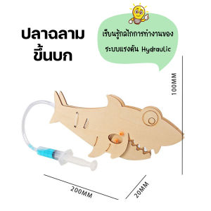 STEM Toy ของเล่นวิทยาศาสตร์ ของเล่นไม้ DIY ของเล่นเพื่อการศึกษา STEM Education V92 🚚พร้อมส่งจากไทย