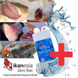 Ikanesia Zero Bac 11 Liter Obat Ikan Ampuh Penyakit Ikan Jamur Insang Aeromonas dll IKANESIA