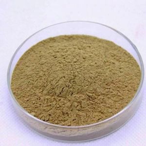 HERBAL BUBUK JAMU MURAH BIJI PETE CINA/PETAI CINA KERING 1 KG