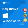 Genuine Permanent Copyright Key Pro Key, 11 Home, Windows 10 Home - Shop Premium Sky. 