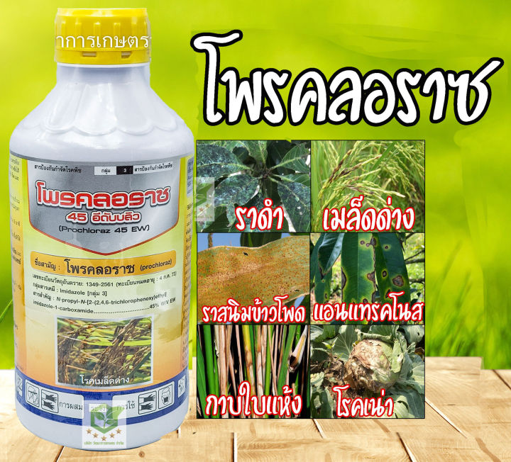 โพรคลอราซ 45% EW เนื้อครีม กำจัดโรคแอนแทรคโนส กุ้งแห้ง