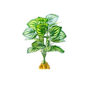 Reptiles Habitats Decoration Hermit Habitat Realistic Terrariums for Reptiles Terrariums