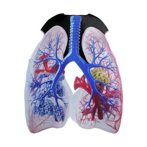 HOUCHU Realistic Heart Design Cosplay Costume Visceral Organs Print Creativity Halloween Kids Costume Stage Performance Comfortable Simulation Human Organs Costume Boys Girls