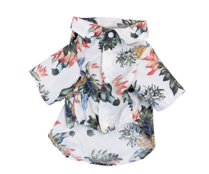 MEOWOOF Baju Kucing Cat Clothes Dog Shirt Cat Shirt Dog Clothes Puppy Clothes Pet Clothes Cat Tshirt 狗狗衣服 狗衣服 宠物衣服 猫咪衣服