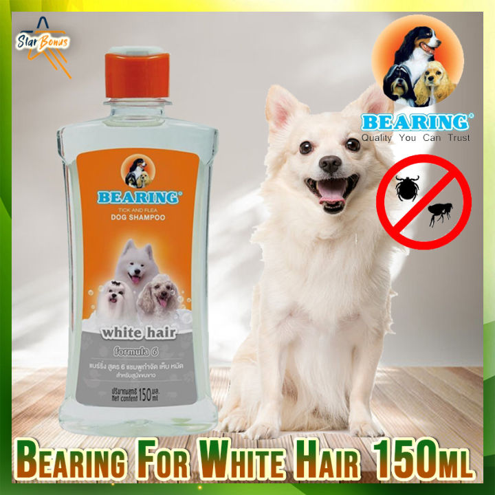 Lazada store dog shampoo