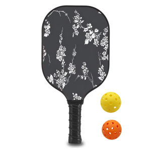 Pickleball Paddles Set with 1 Rackets 2 Pickle Ball 1bag Fiberglass and Graphite Face Non-Slip Grip USAPA Approved ID 60625-1654451012