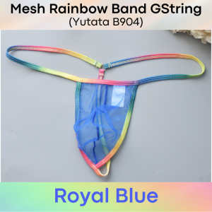 Mens GString: Rainbow Band Mesh GString (B904)